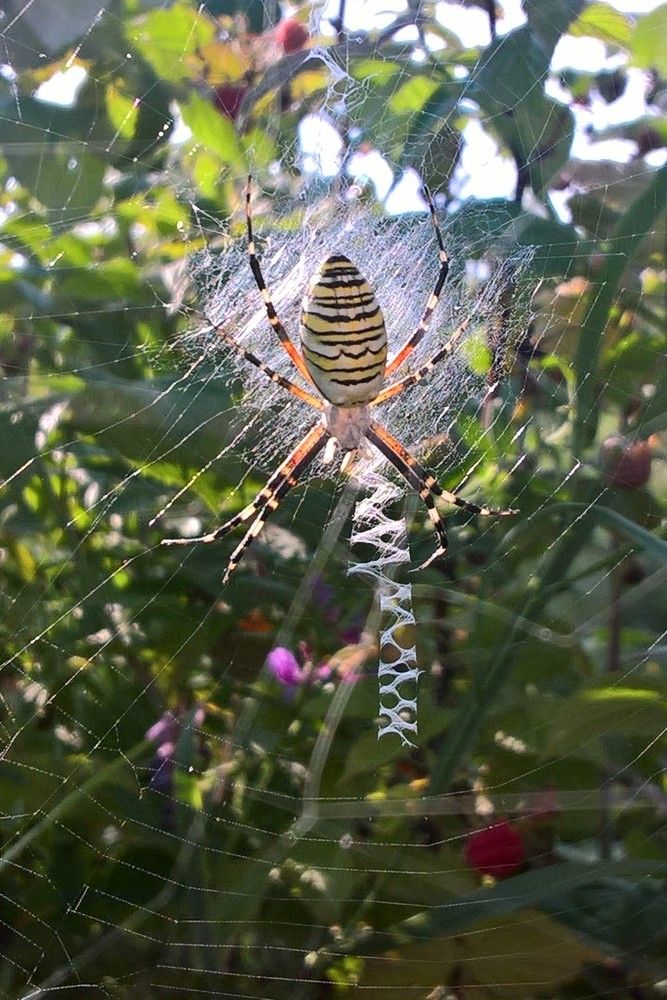 Photograph by Ольга