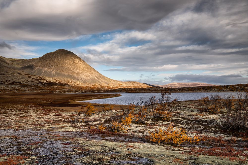 Dørålen in Autumn - Norway