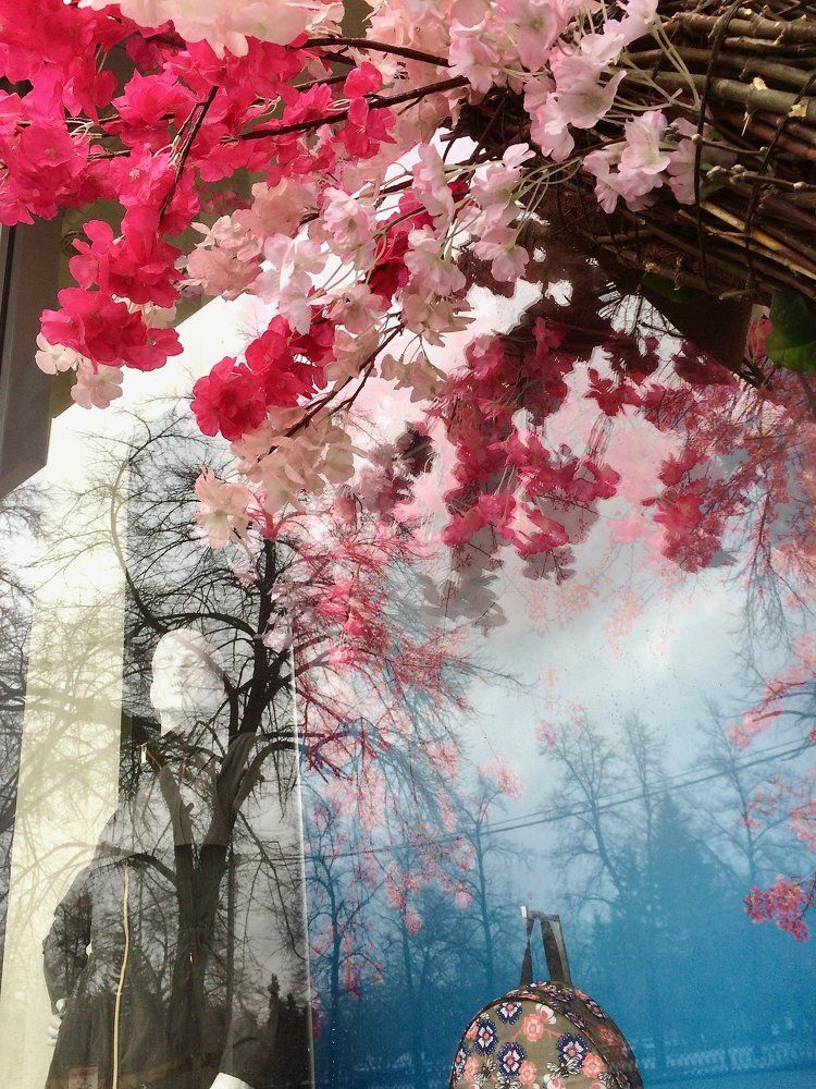 Отражение в витрине