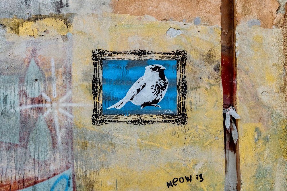 Настенная живопись