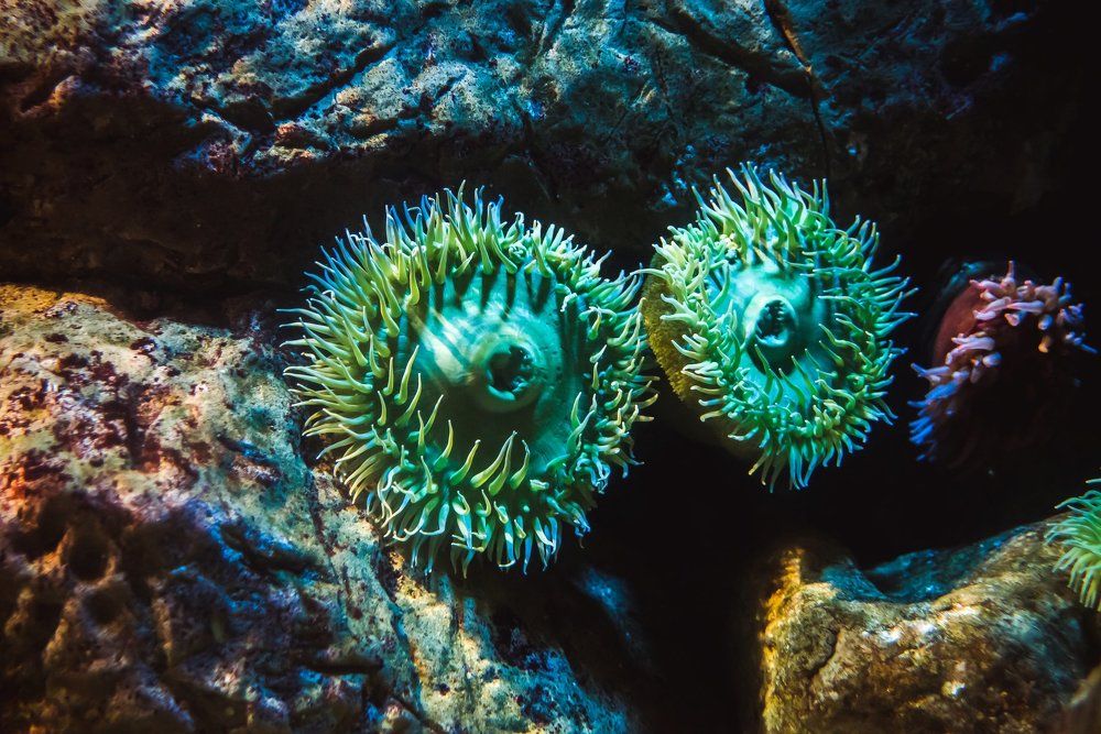 Photograph by Polishchuk Yuliia