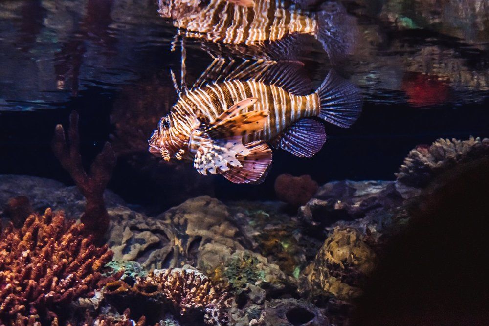 Photograph by Polishchuk Yuliia