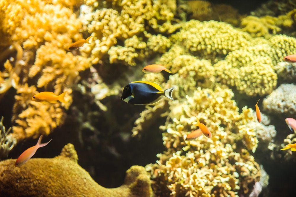 Photograph by Polishchuk Yuliia