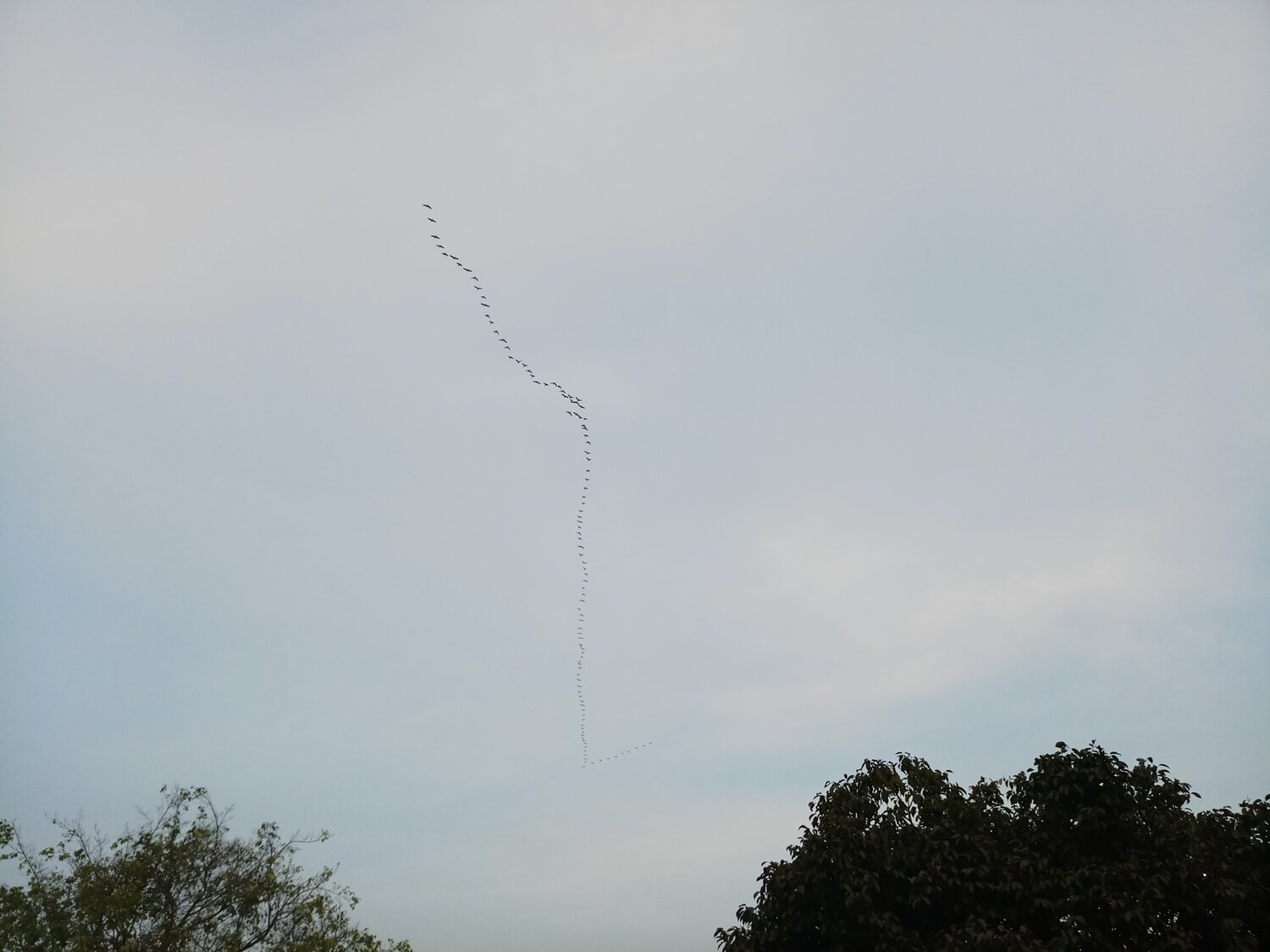 Photo #2623333