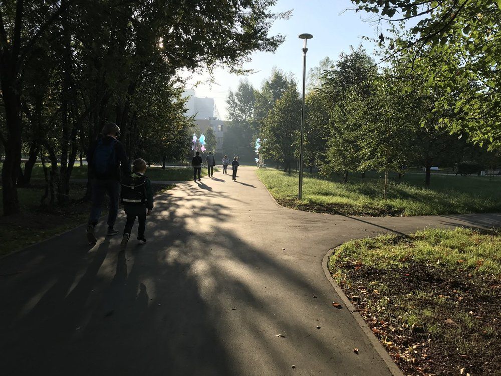 Утренние лучи