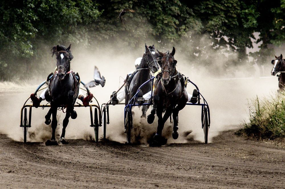 Несущие ветер