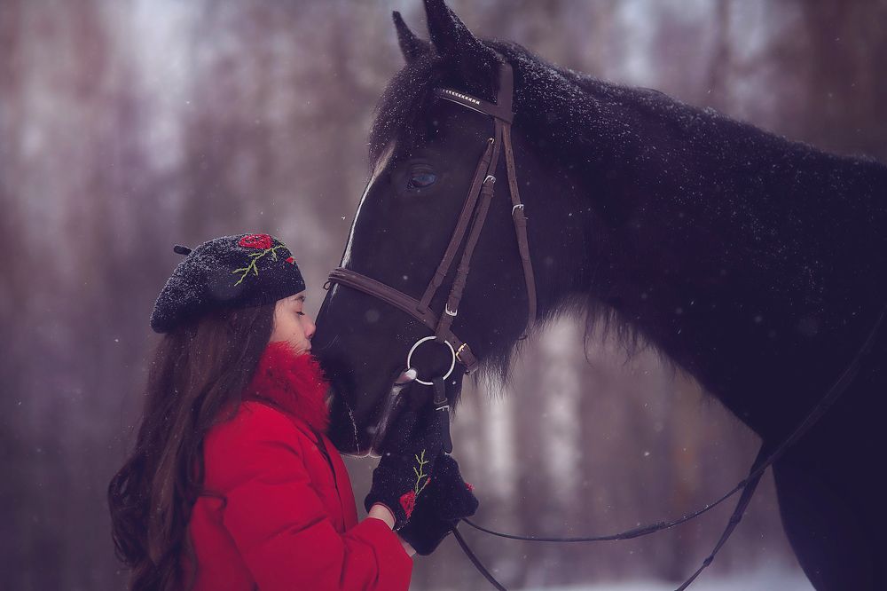 Загляни в душу лошади