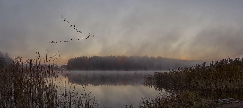 Photograph by Александр Шемятенков