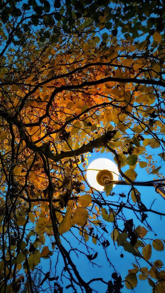 Вечер, улица...