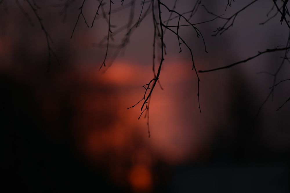 Photograph by Евгений Пакулов