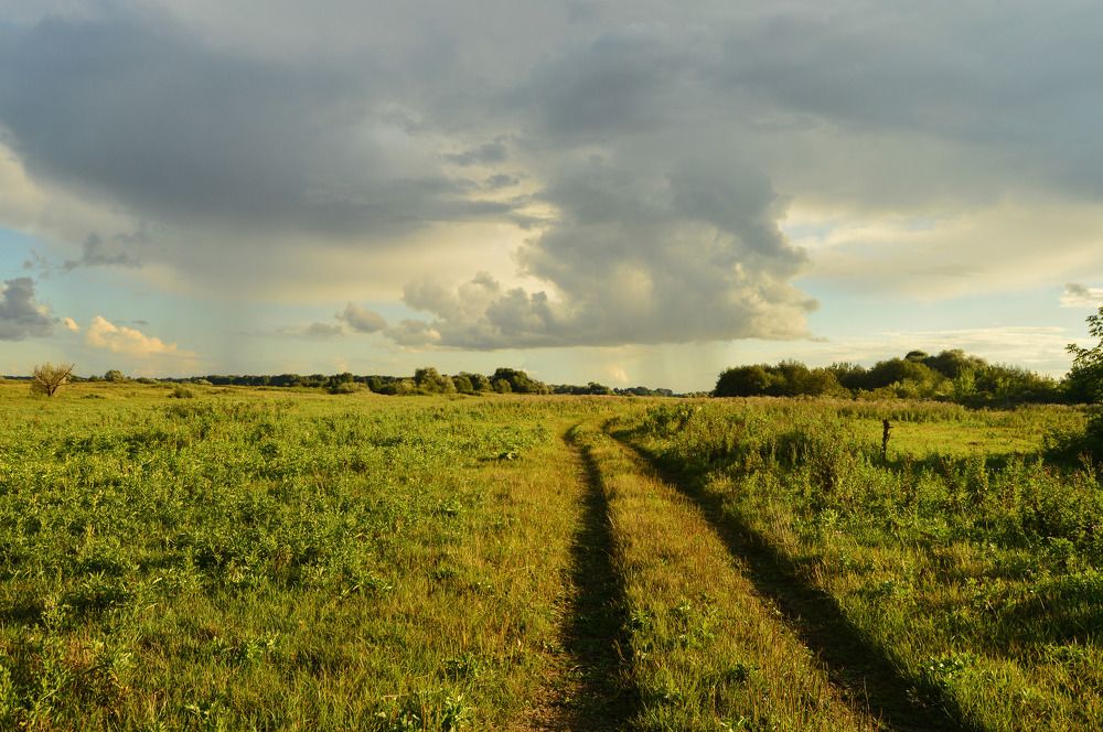 Русское поле