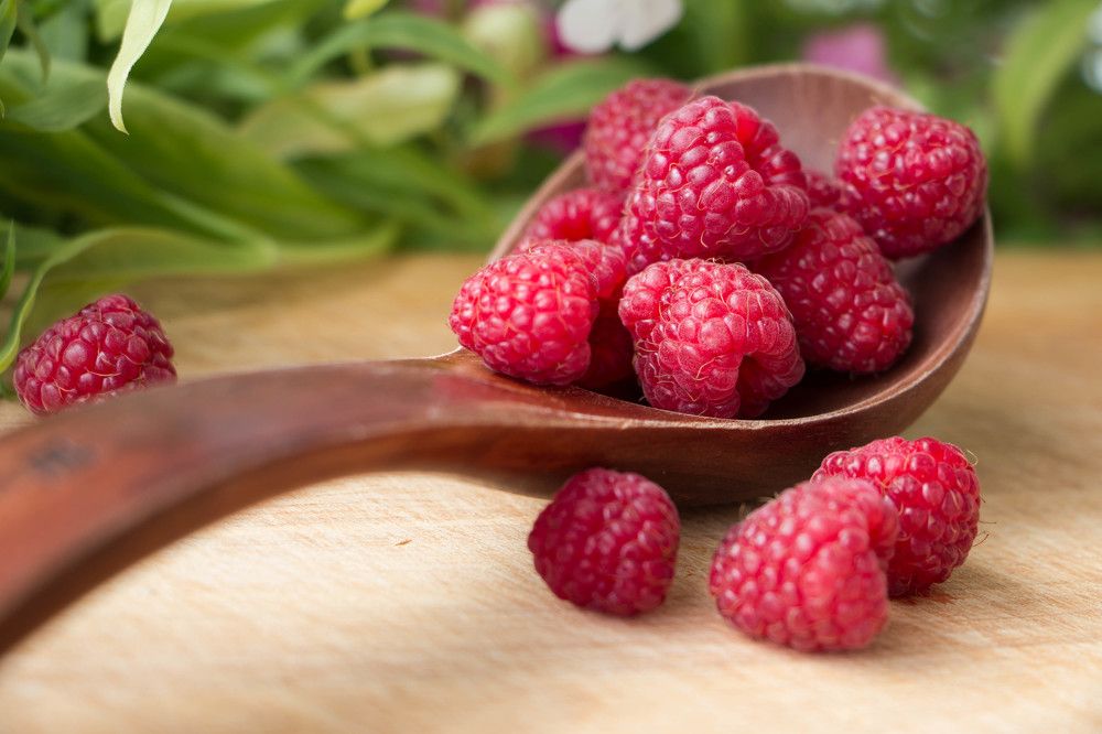 Сочное лето