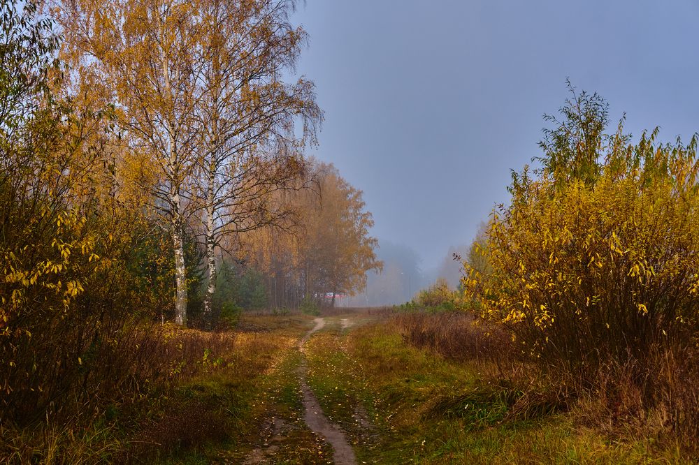 Затуманенная осень