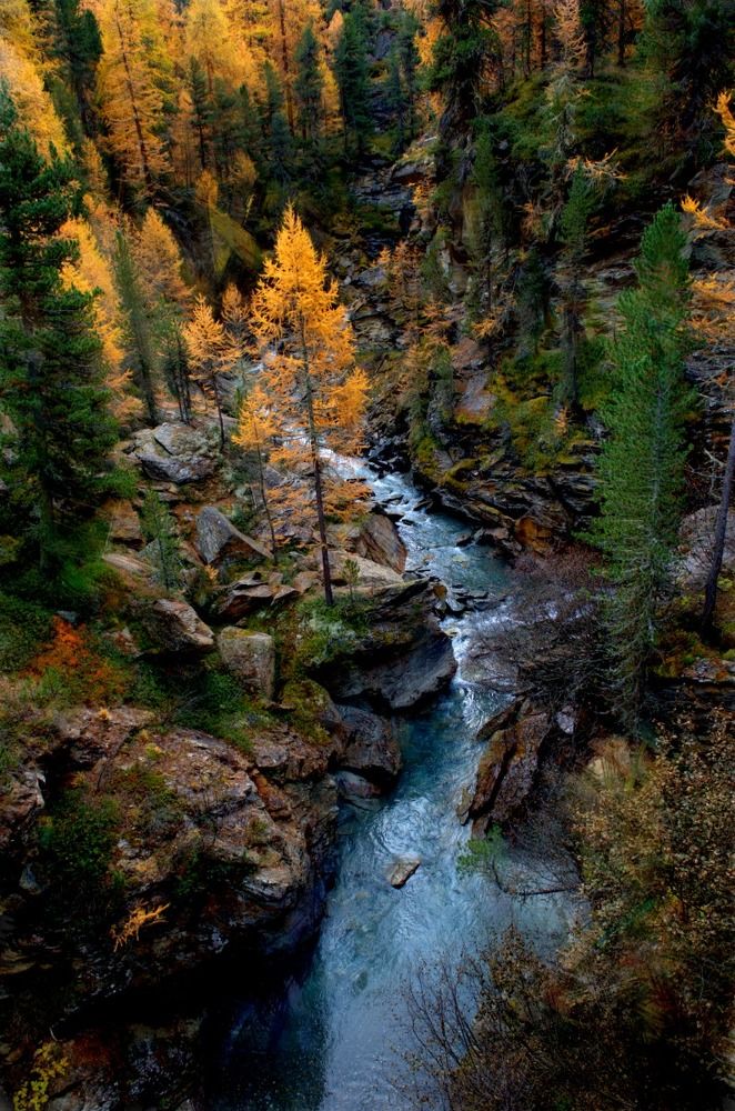 The colors of Martello valley