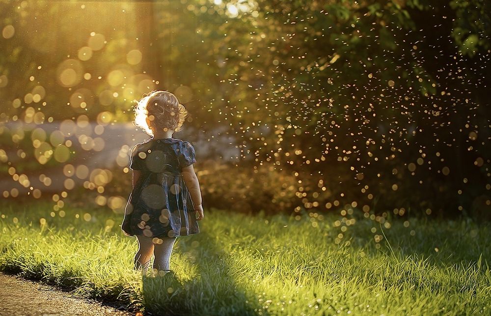 Волшебство всегда рядом