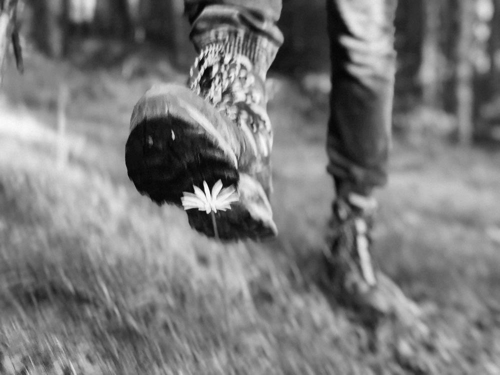 Хрупкость красоты