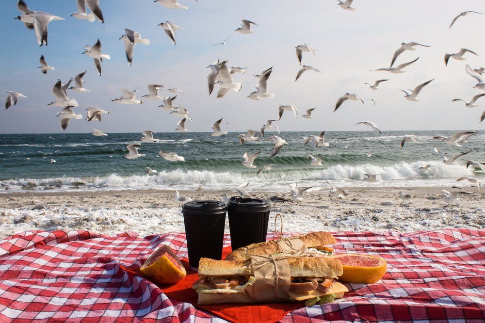 Январский пикник