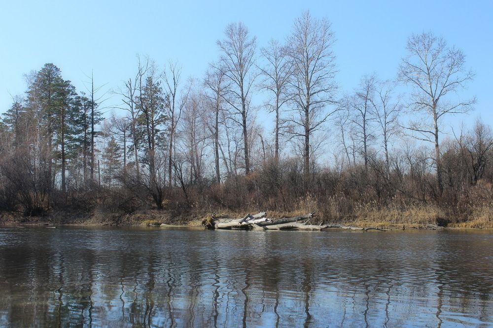 Глубокая осень