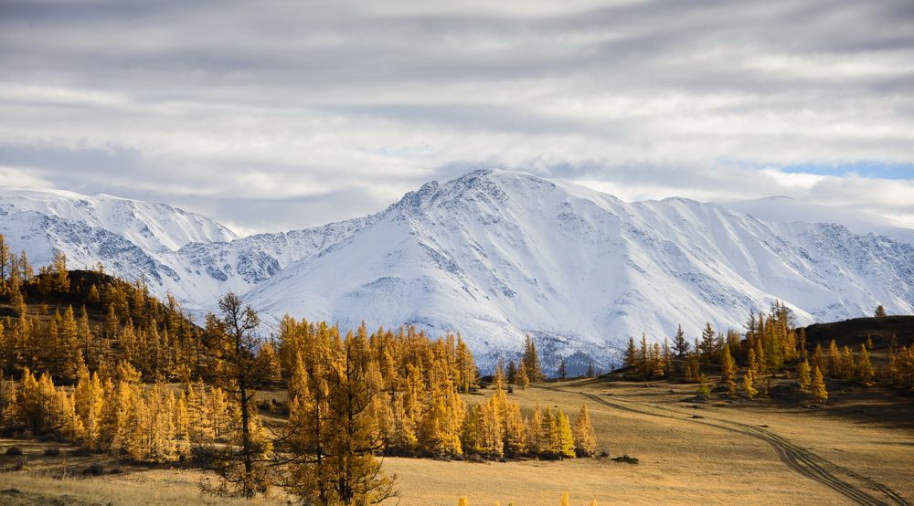 Стоит Алтай перед глазами