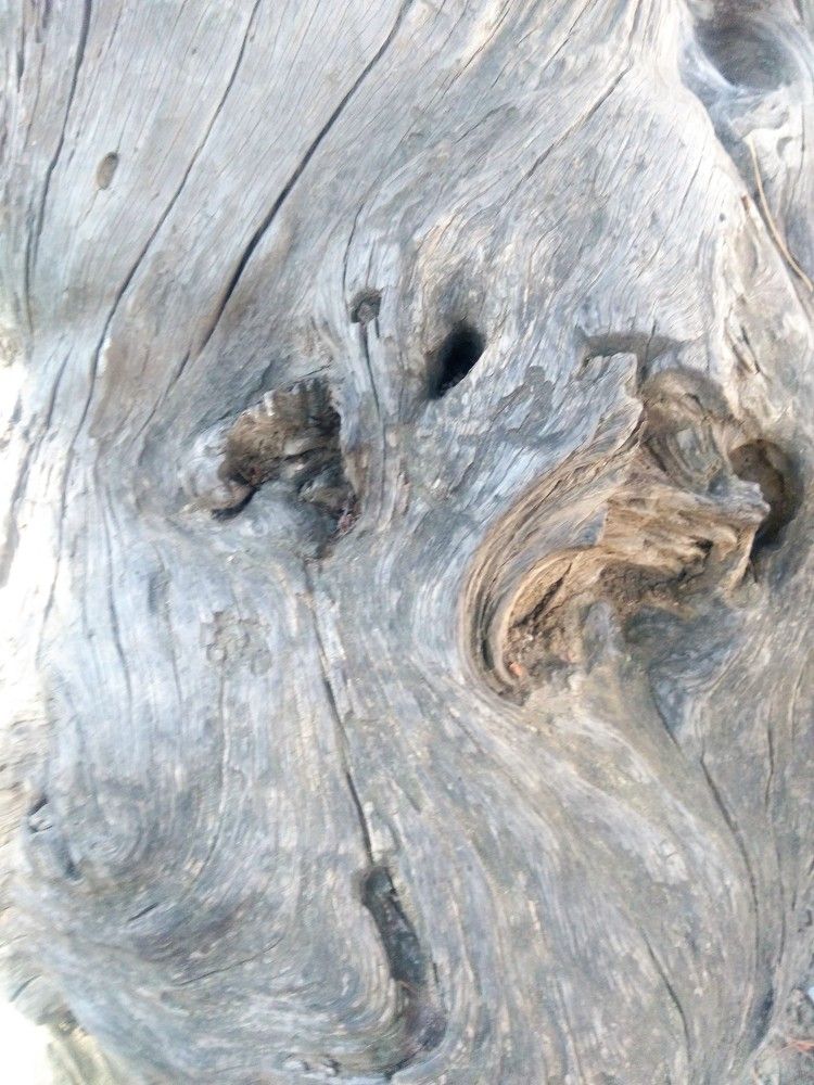 Абстрактная природа