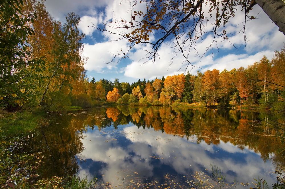 Это Родина моя!..