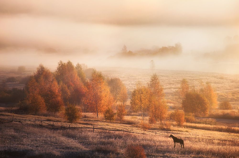 Осеннее утро