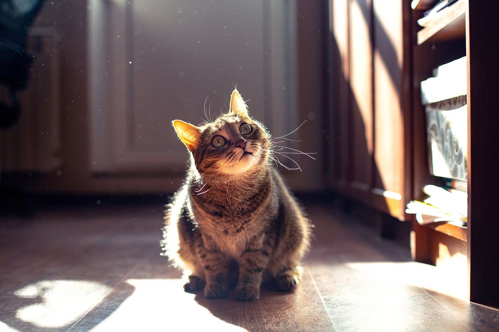 Photograph by Зелёная Элина