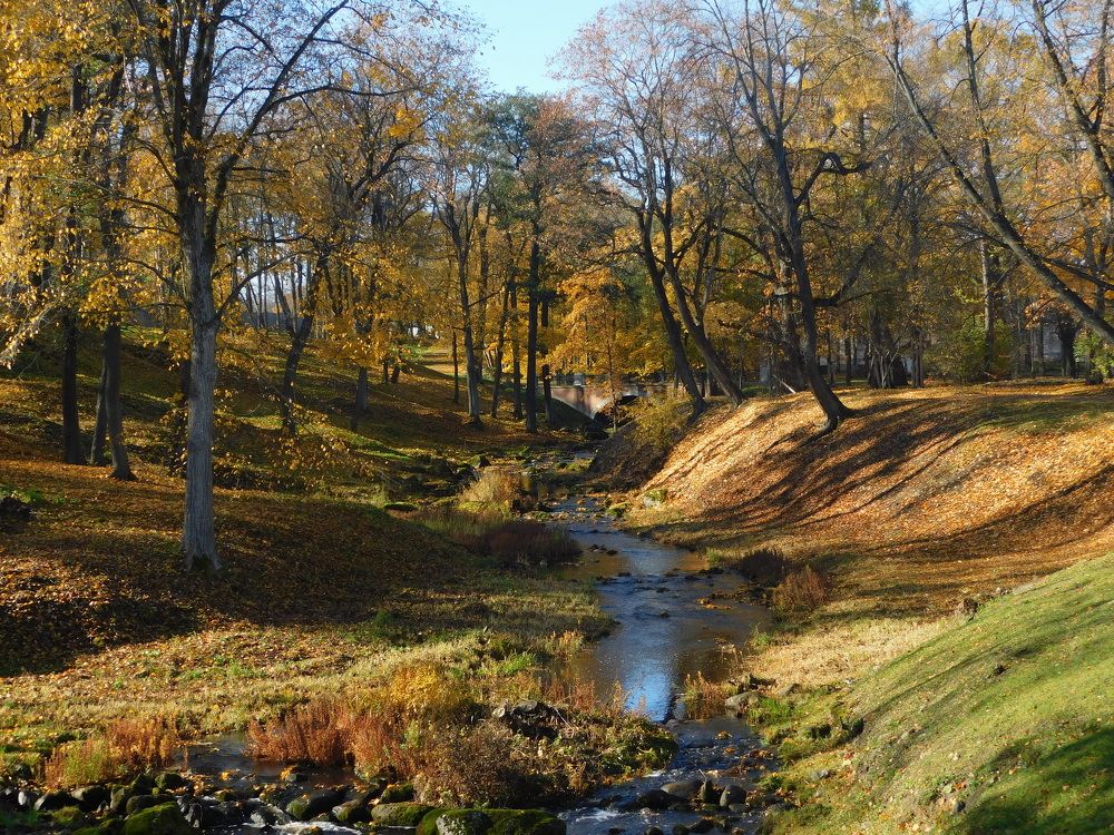 Осень в парке