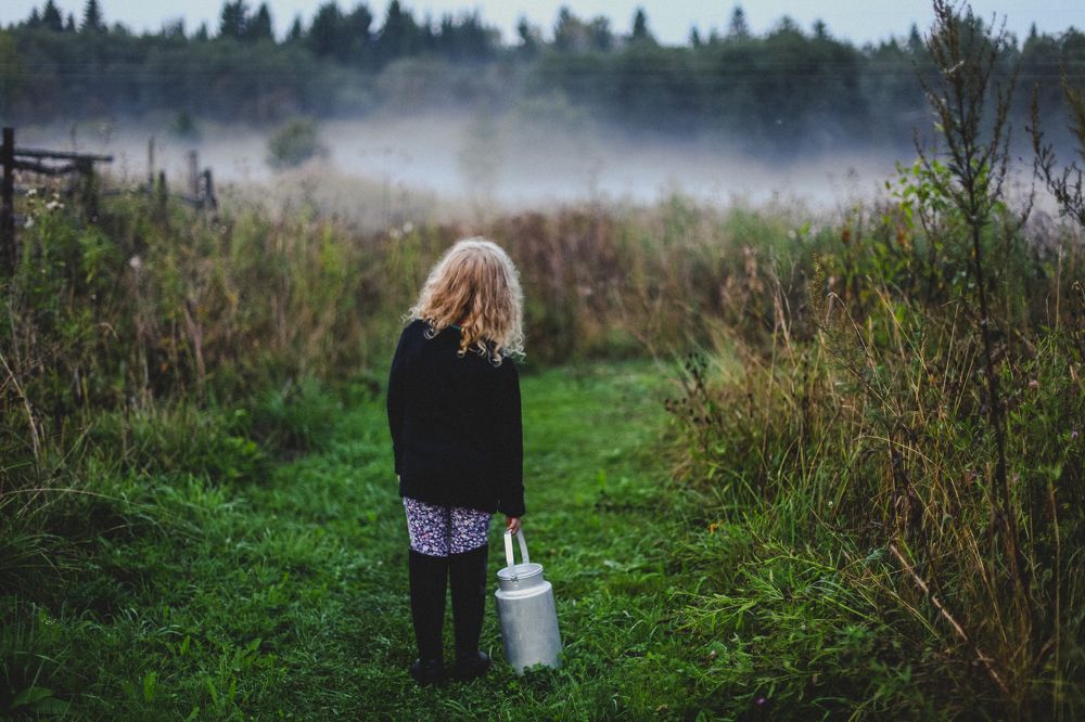 Однажды, мы пошли за молоком к буренке..