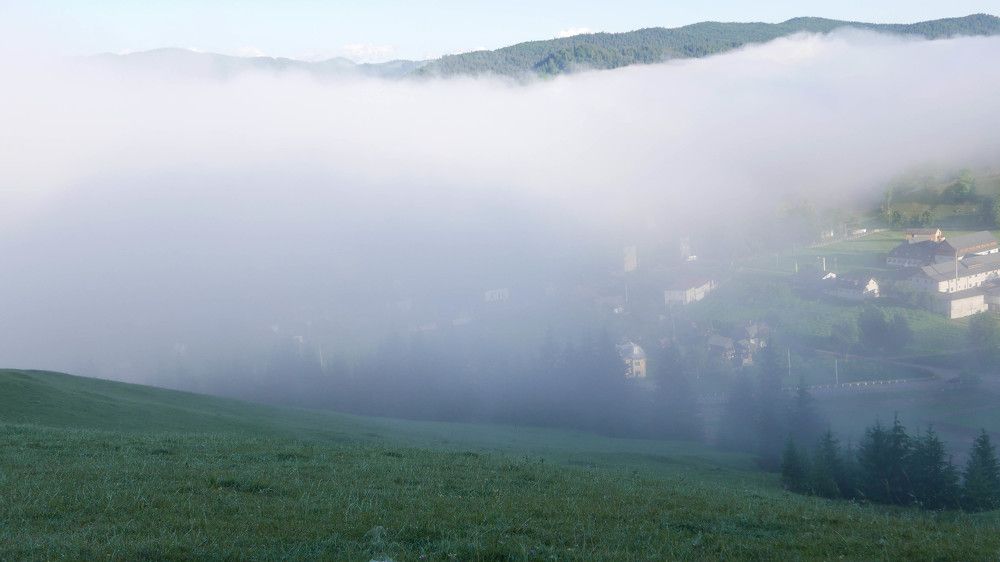 Bucovina, plai cu flori