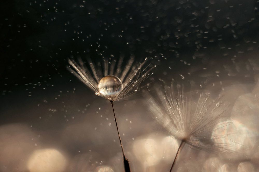 Photograph by Нурият Аллаярова