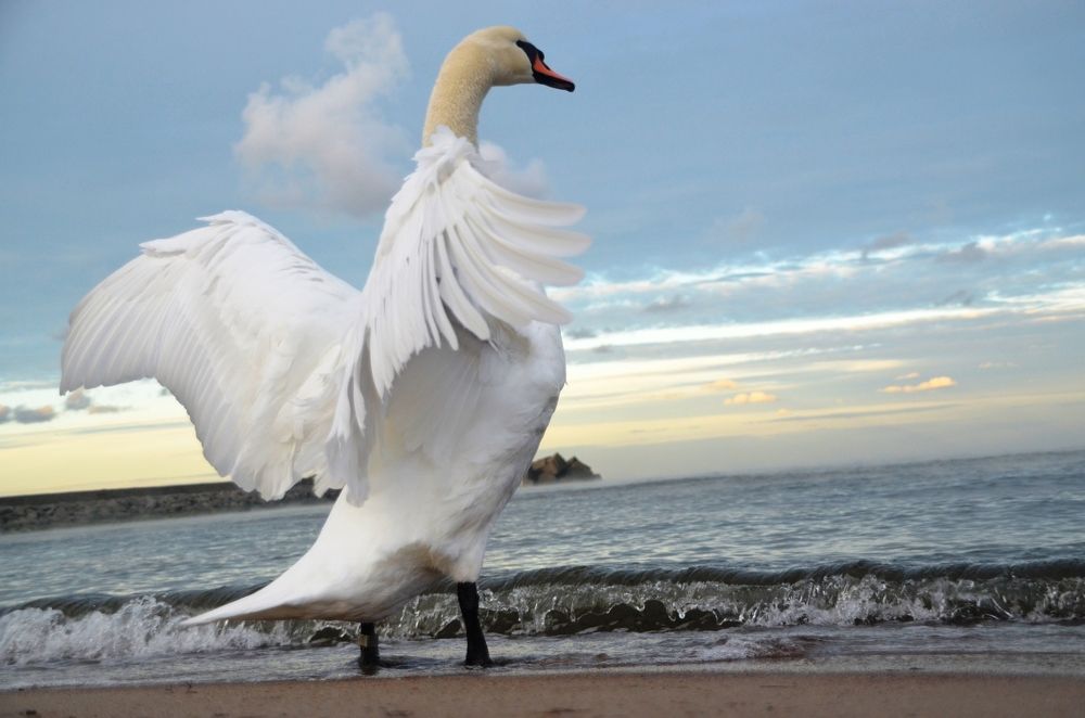 Photograph by Galina Baranovskaja