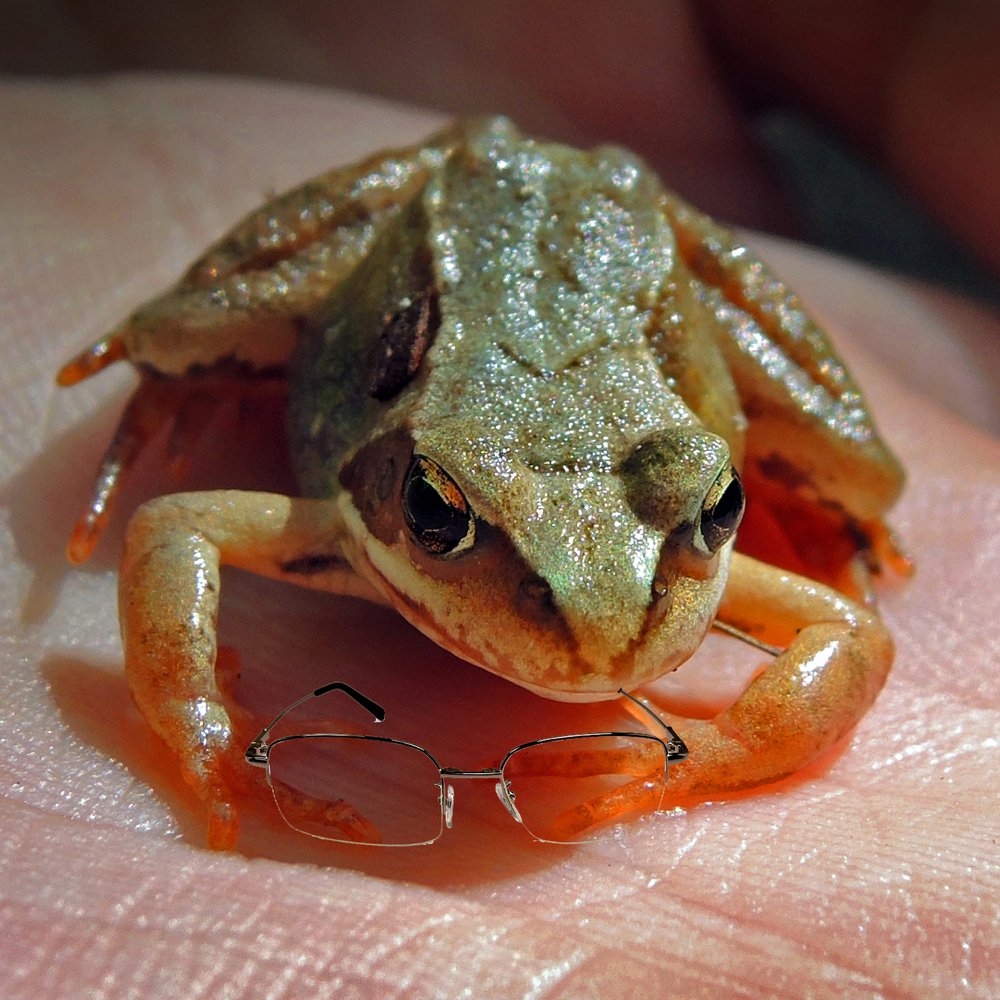 Интересно, какие котировки сегодня у акций КВА-КВА-БАНКА ?