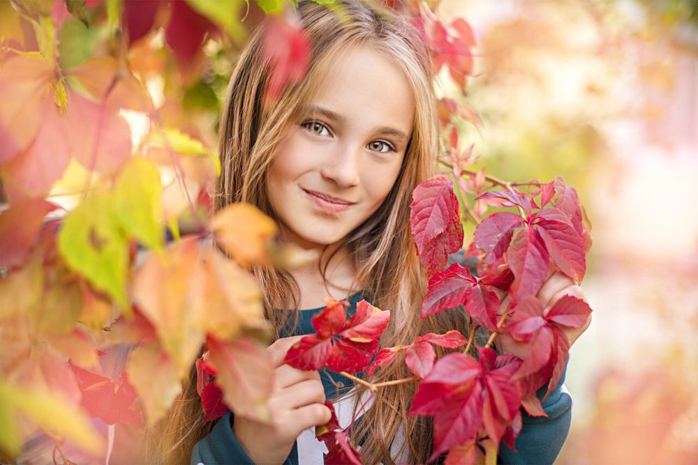 В девичьем винограде