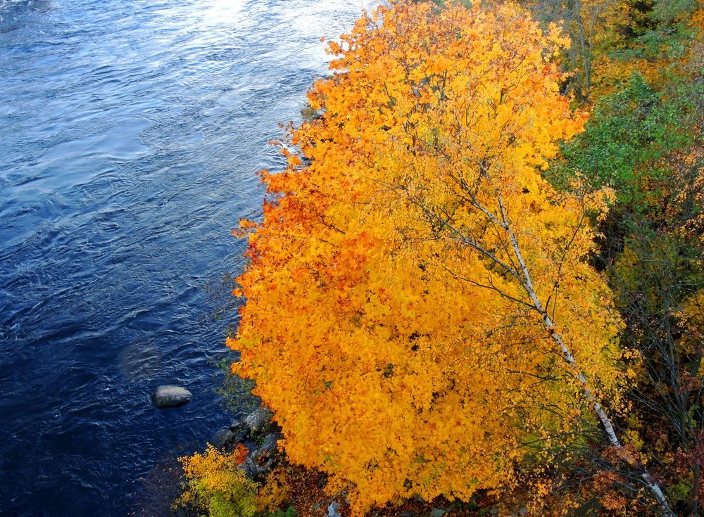 А внизу уже осень...
