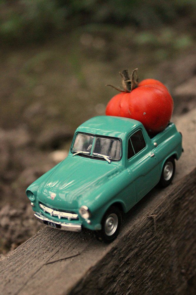 Сбор урожая.