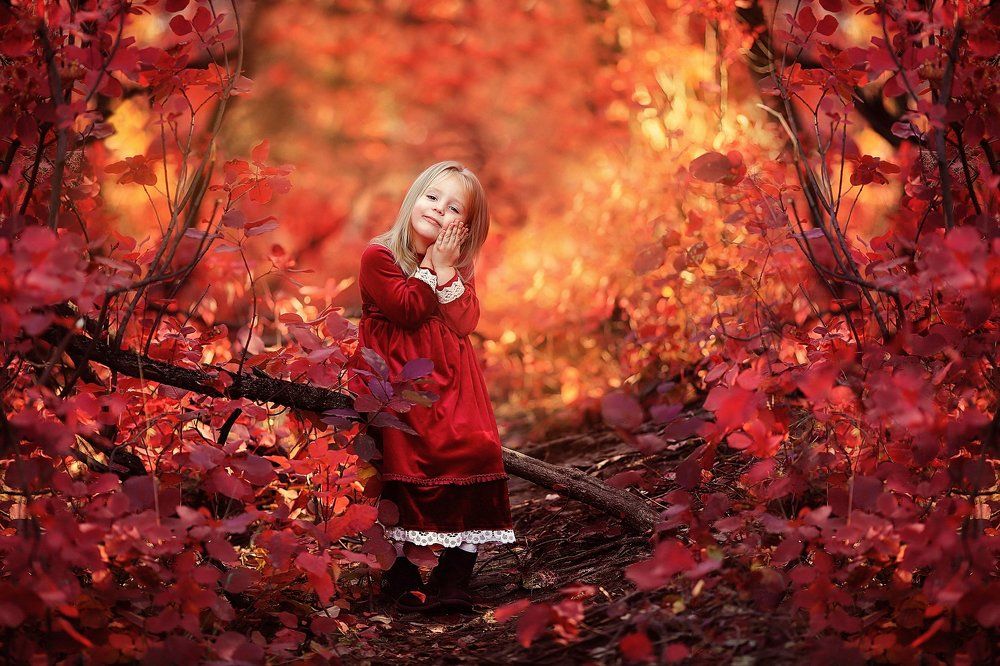 Яркая осень