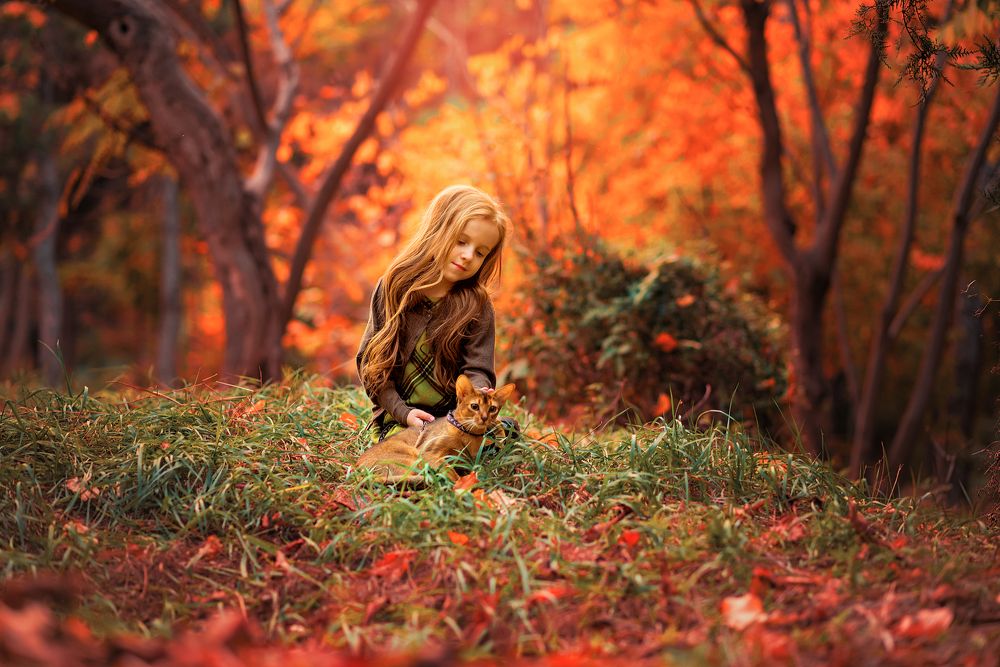 Краски осени