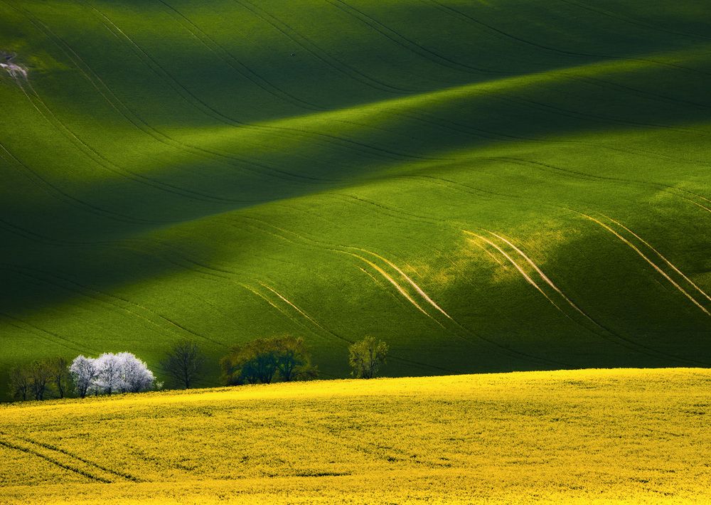 Холмы Моравии.