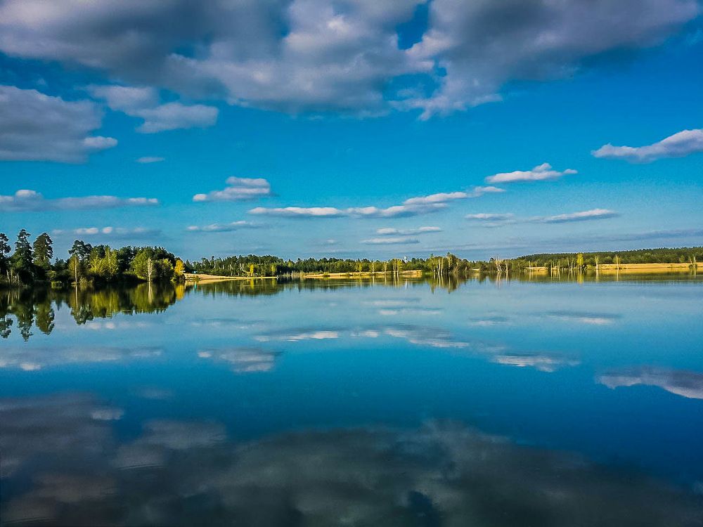 Летом на берегу озера