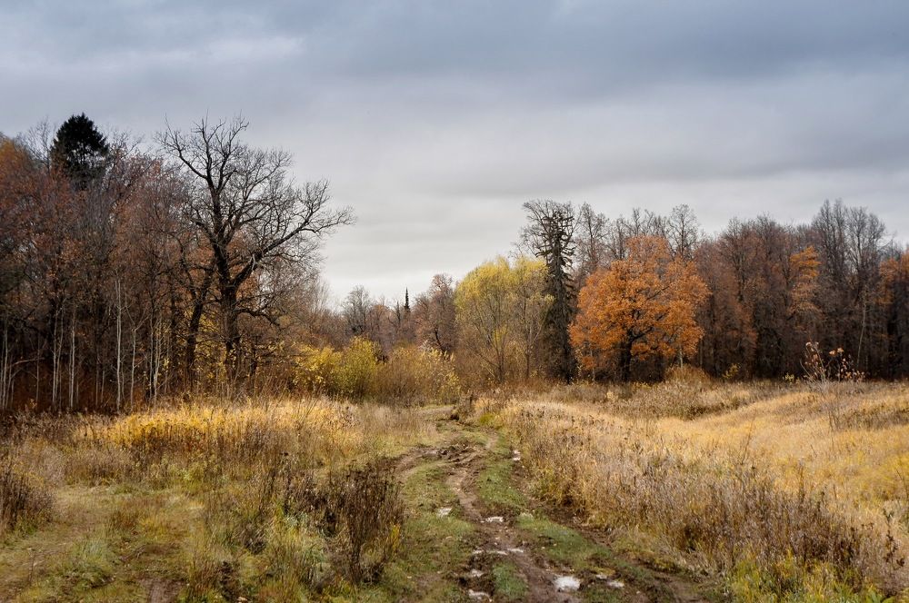 Photograph by Сергей Забиякин