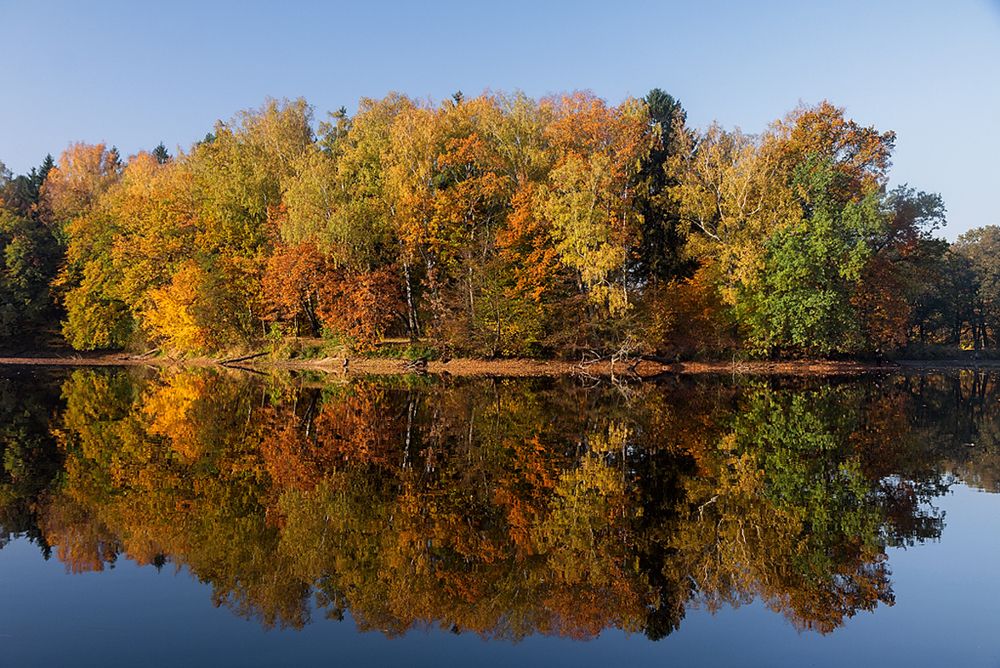 Золотой октябрь