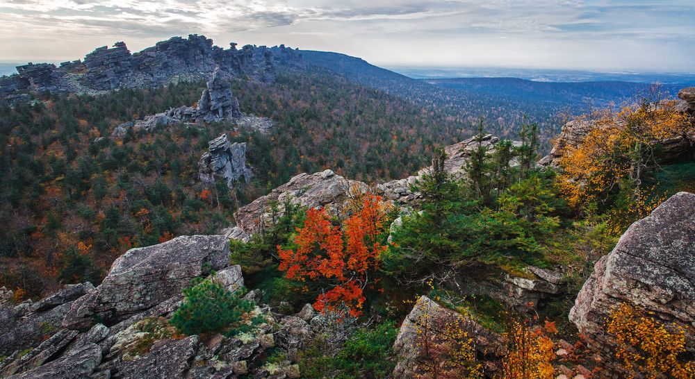Осень на Колчиме.