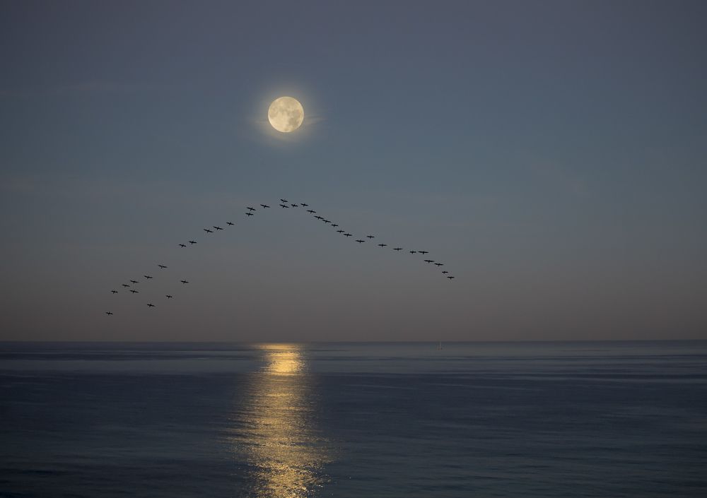 Полнолуние