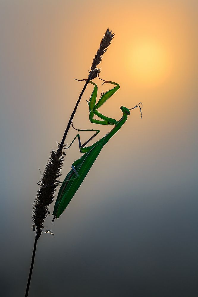 На рассвете.