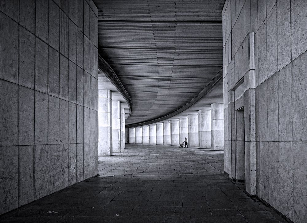 Camino de la memoria