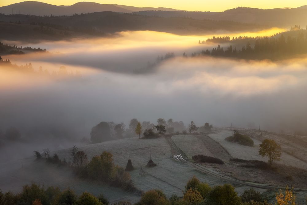 Осеннее утро