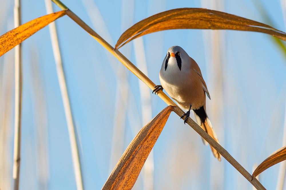 Photograph by Марина