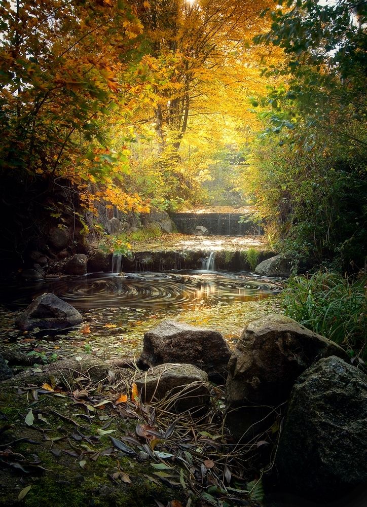 Ручей в поместье Фридрихштайн