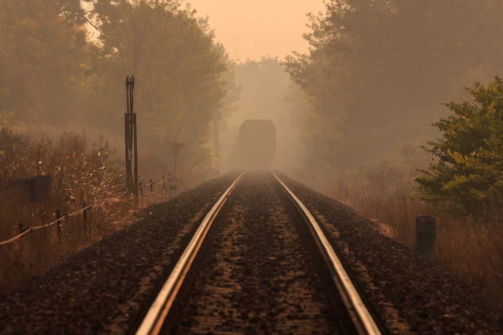 dissolving in autumn